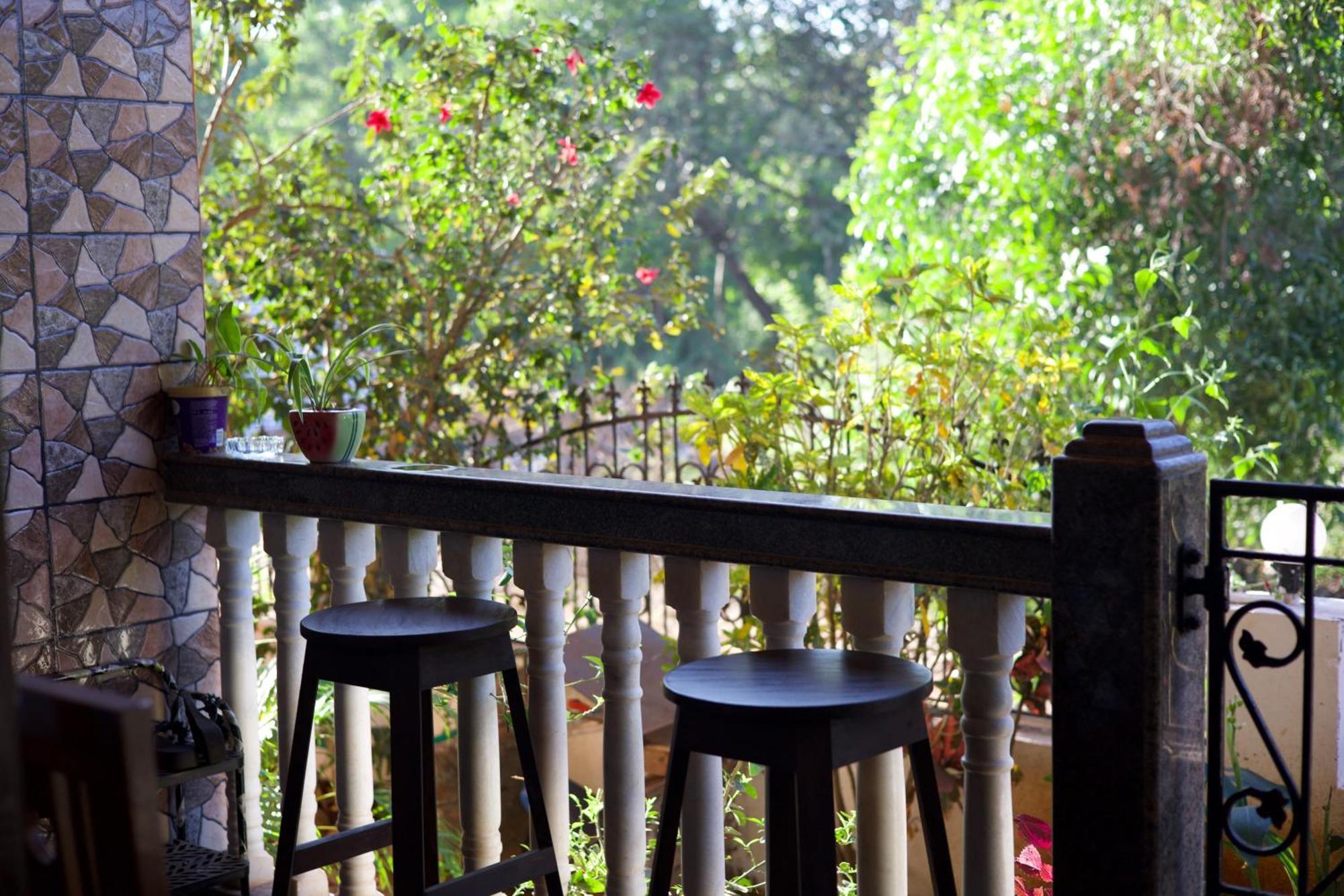Last Minute Trip Hostel Morjim Luaran gambar