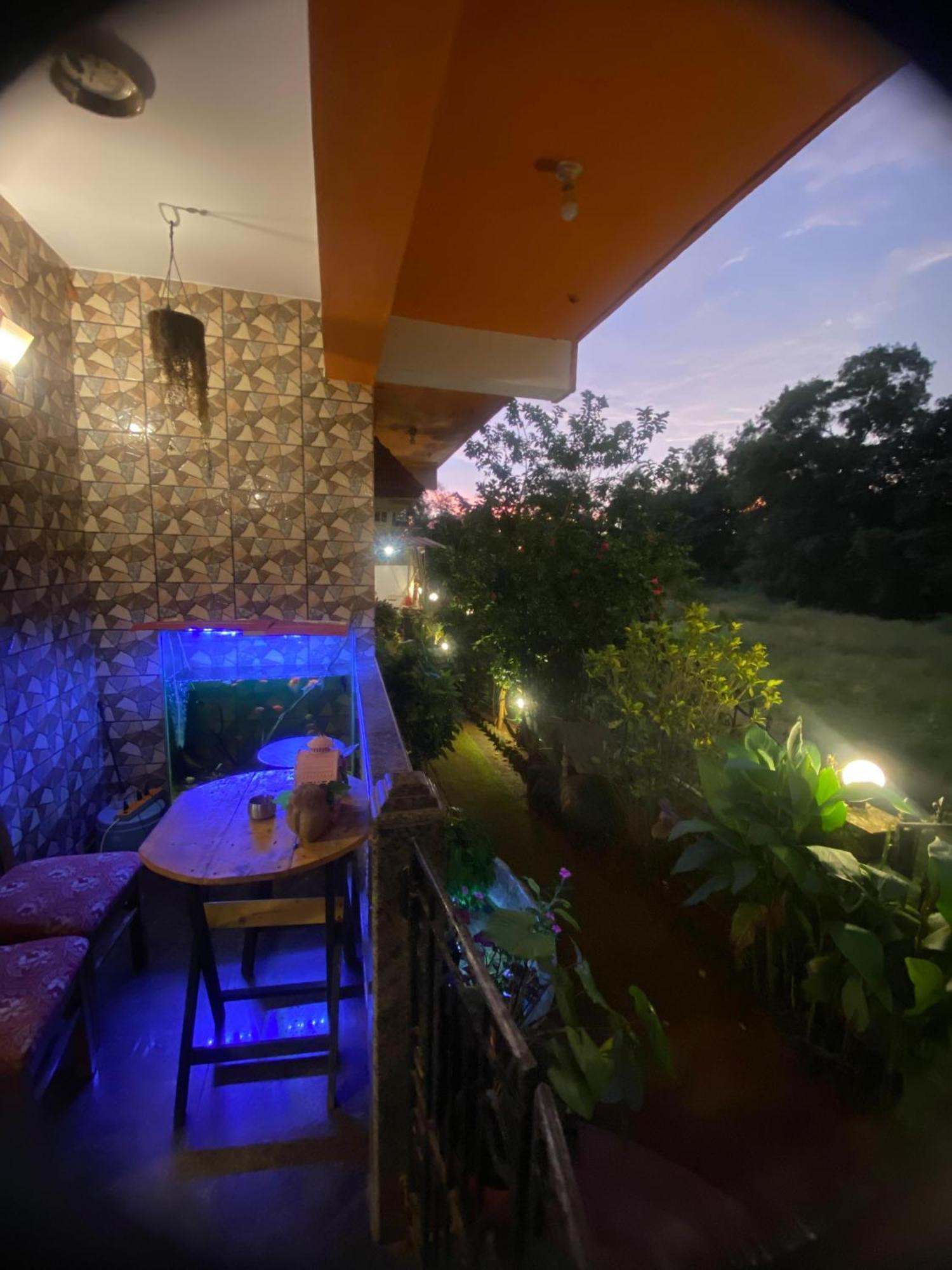 Last Minute Trip Hostel Morjim Luaran gambar