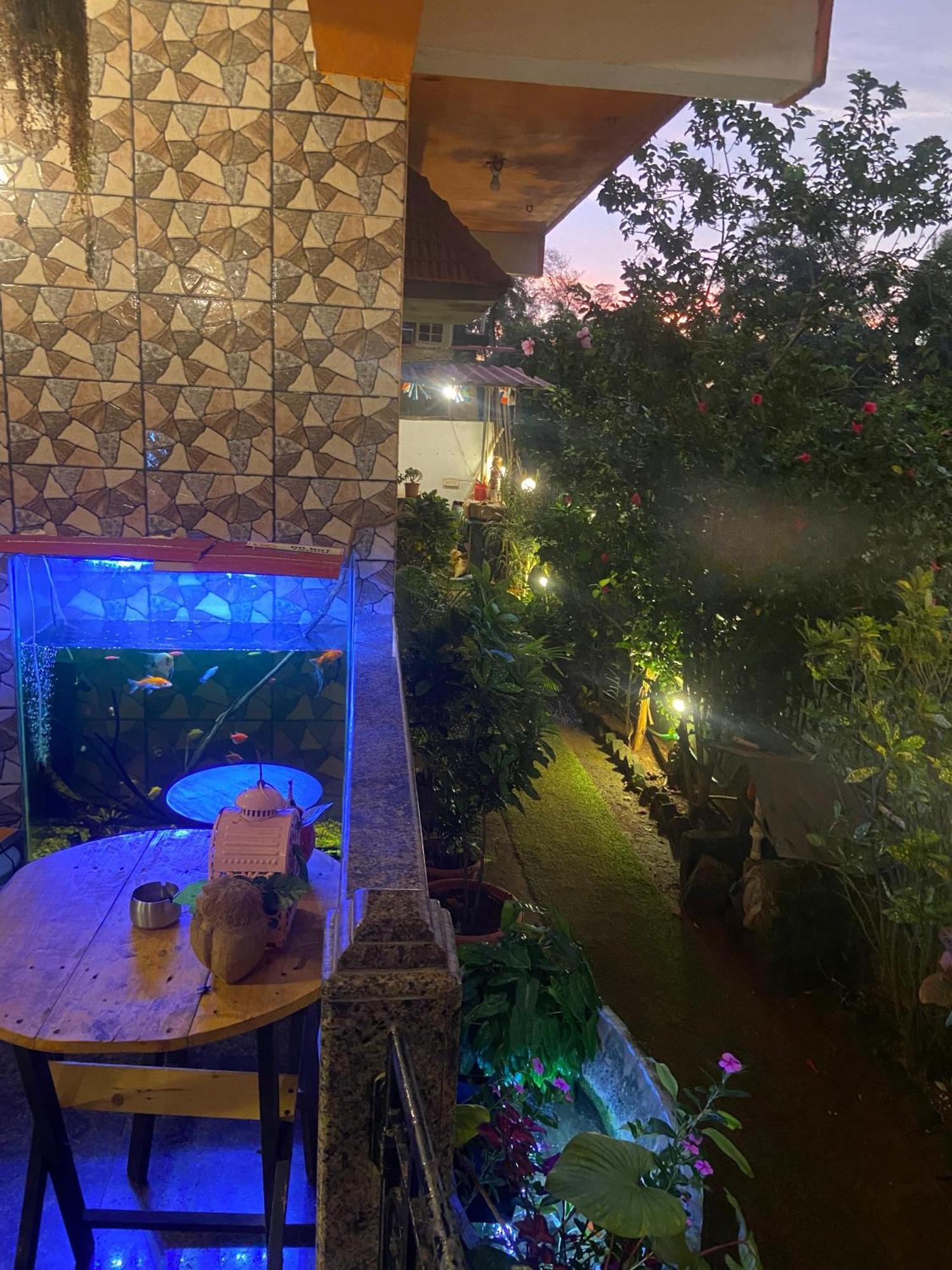Last Minute Trip Hostel Morjim Luaran gambar